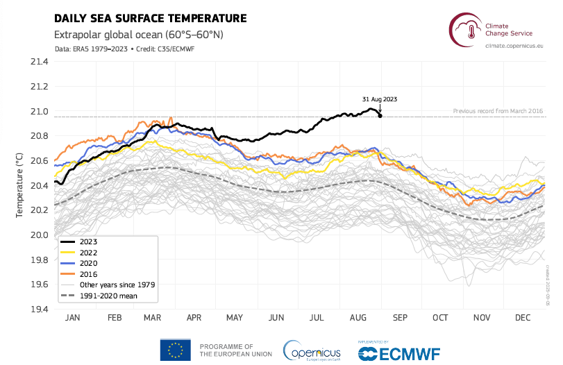 Grafik, die den Anstieg der Oberflächentemperatur der Weltmeere zeigt.